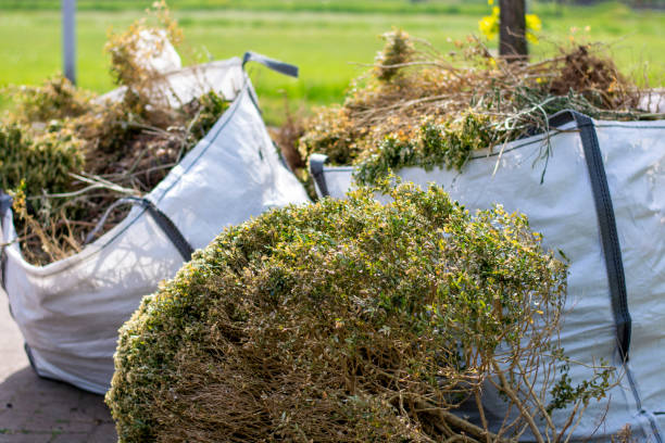 Best Construction Debris Removal  in Aiea, HI